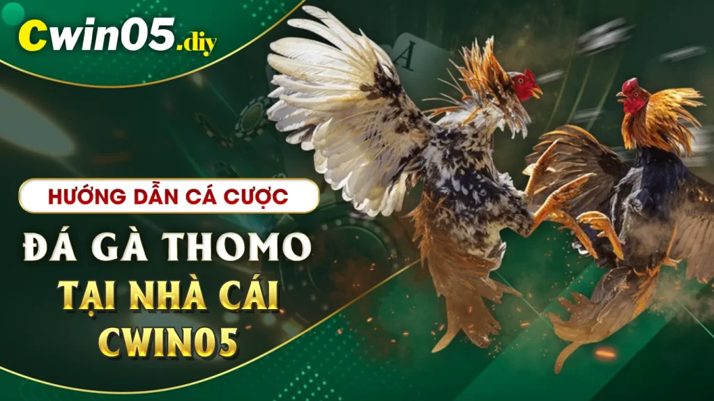 đá gà thomo cwin05 02