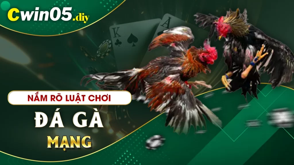 đá gà mạng cwin05 01